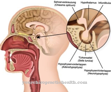 Posterior lobe insufficiency