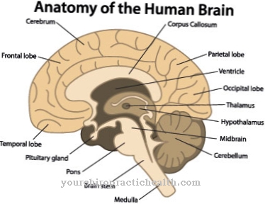 Kekurangan pituitari anterior