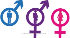interseksualnosti