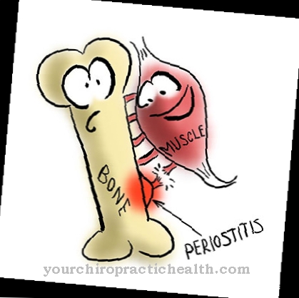 Periosteum vnetje
