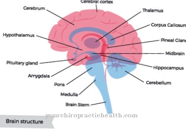 Limfom v možganih (možganski limfom)