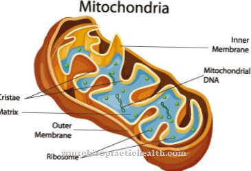 مرض الميتوكوندريا