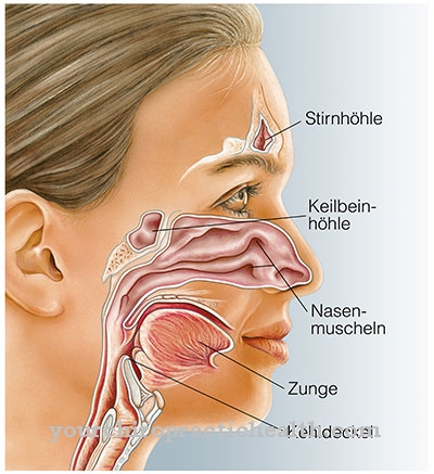 Infekcija sinusa