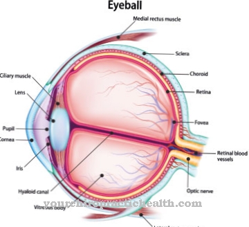 Doença retiniana na hipertensão