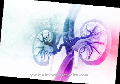 Kidney disease (nephropathy) in high blood pressure
