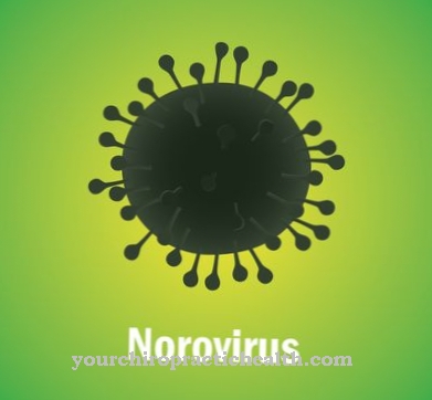 Norovírusy (norovírusová infekcia)