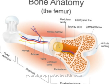 Zlomenina krku femuru (zlomenina krku stehennej kosti)