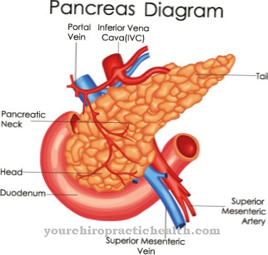 Pankreas annular