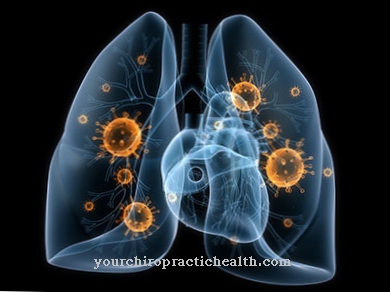 Pneumocystis keuhkokuume