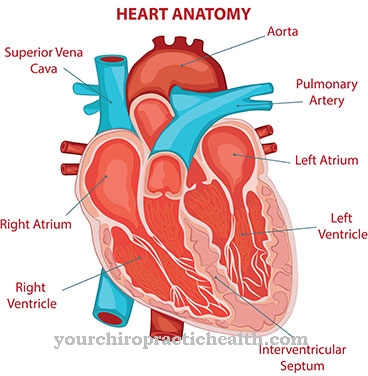 hipertrofija lijevog ventrikula