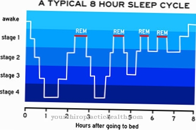 REM motnje vedenja spanja