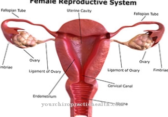 Retroflexio utérus