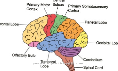 Cécité corticale
