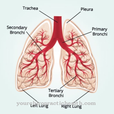 Keuhkopussintulehdus