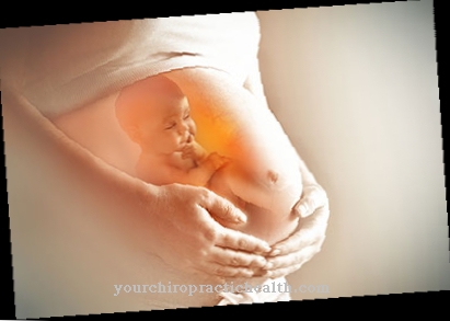 Punetiste embrüo fetopaatia