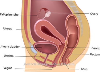 Vaginal kræft (vaginal kræft)