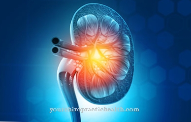 Shrink kidney