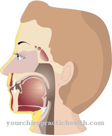 Kavernøs sinus-trombose
