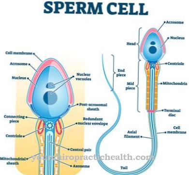 Sperma allergia