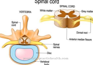 Spinal shock