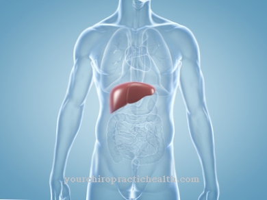 Congested liver