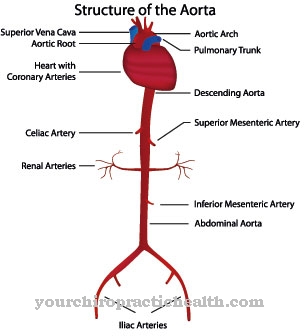 Takayasu arteriit