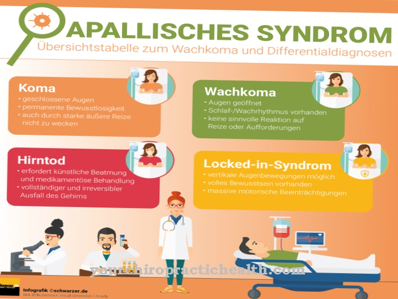 Vegetative state (apallic syndrome)