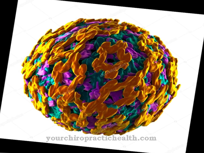 فيروس الحمى الصفراء