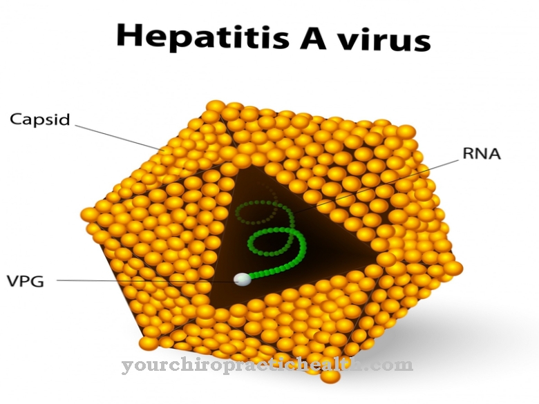 Вирус на хепатит А