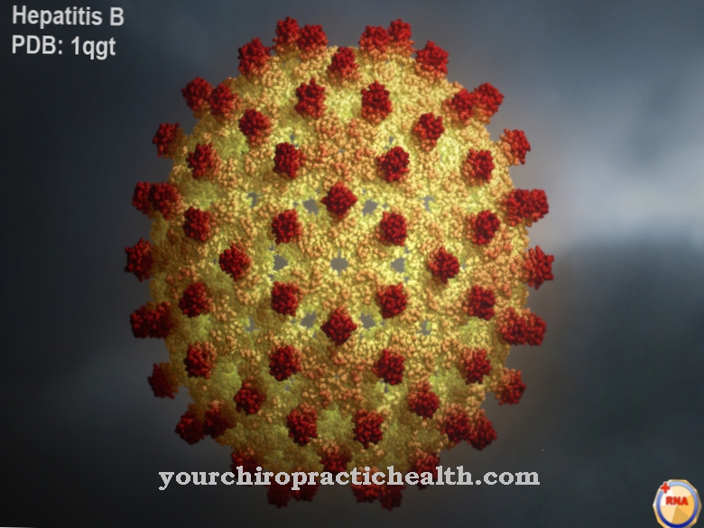 Virus hepatitisa B