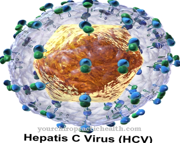 Vírus hepatitídy C.