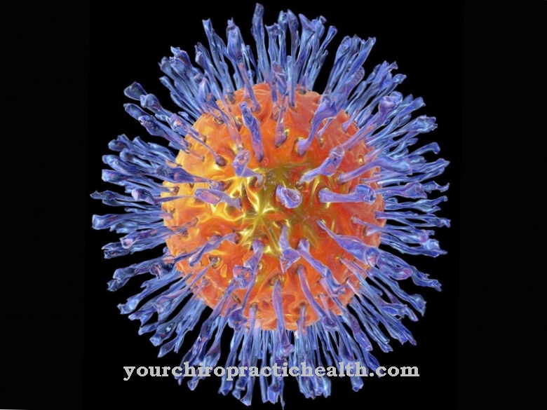Virus herpes