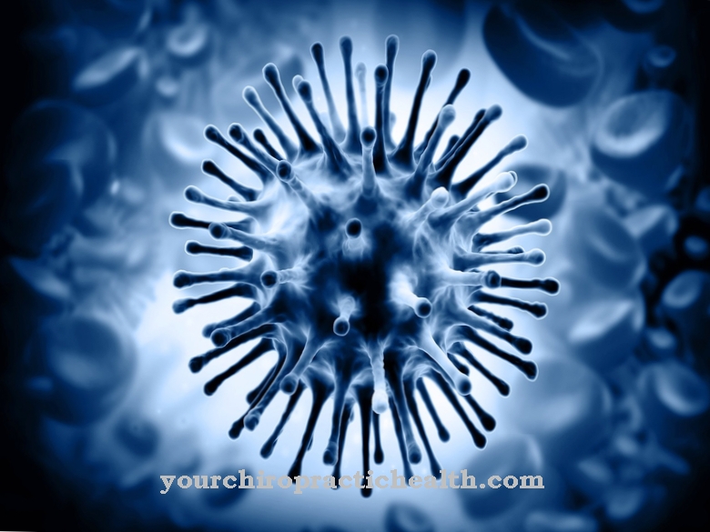 Virus gripe