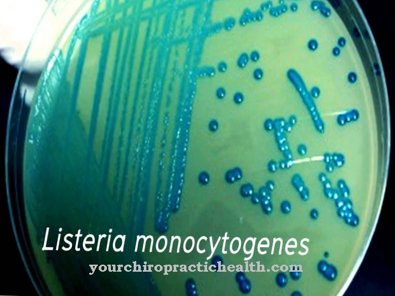 लिस्टेरिया monocytogenes