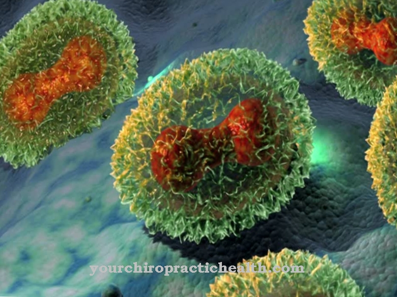 Ορθοτοξικός ιός variola