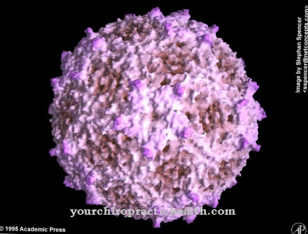 Pikornavirusinfektiot
