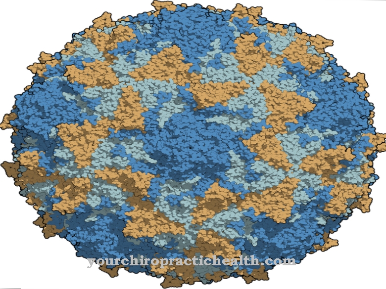 Poliovirusas