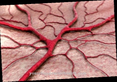 تولد الأوعية الدموية