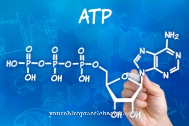ATP синтаза