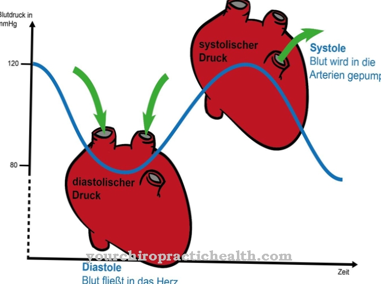 Diastolisk blodtryk