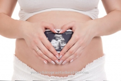 Ембрионално сърдечно развитие