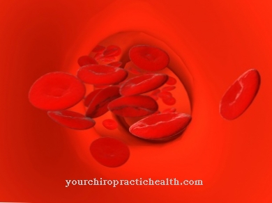 Hematopoyesis (formación de sangre)