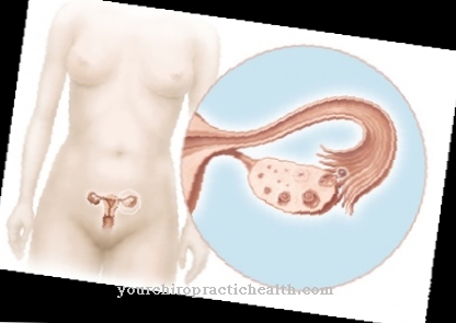 Mestruazioni, mestruazioni e ciclo