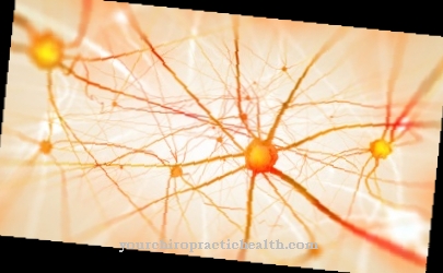Neurogenees