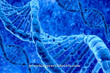 تخليق الحمض النووي الريبي
