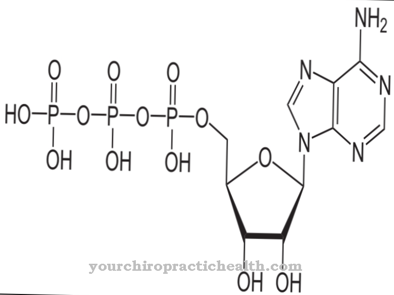 Adenosin trifosfat