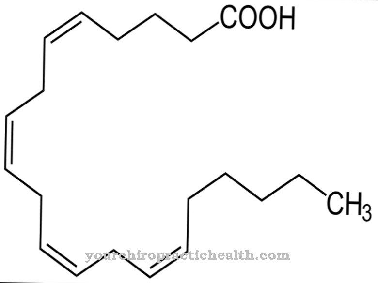 Arachidonic acid