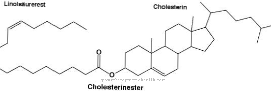 Cholesterol ester