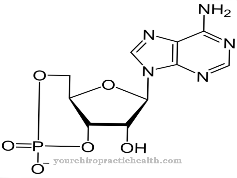 Monofosfat adenosin siklik
