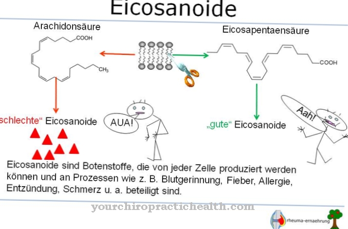 Еикозаноидите